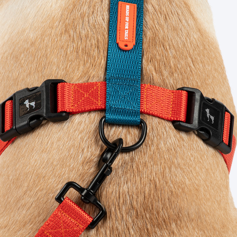 HUFT Classic H - Harness For Dog - Rust & Blue - Heads Up For Tails