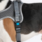 HUFT Easy Fit U-Harness For Dogs - Grey - Heads Up For Tails