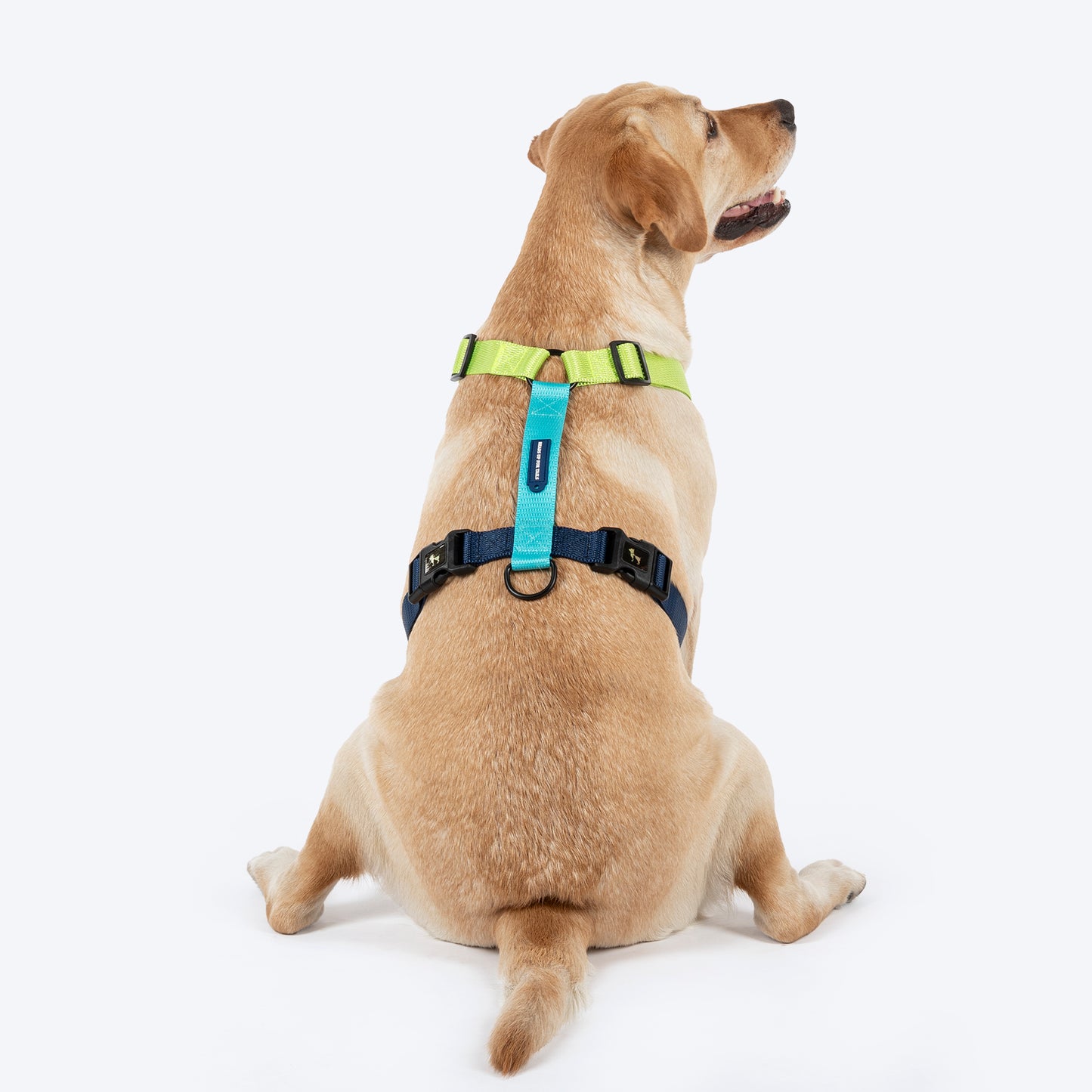 HUFT Classic H - Harness For Dog - Navy & Neon Green
