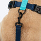 HUFT Classic H - Harness For Dog - Navy & Neon Green