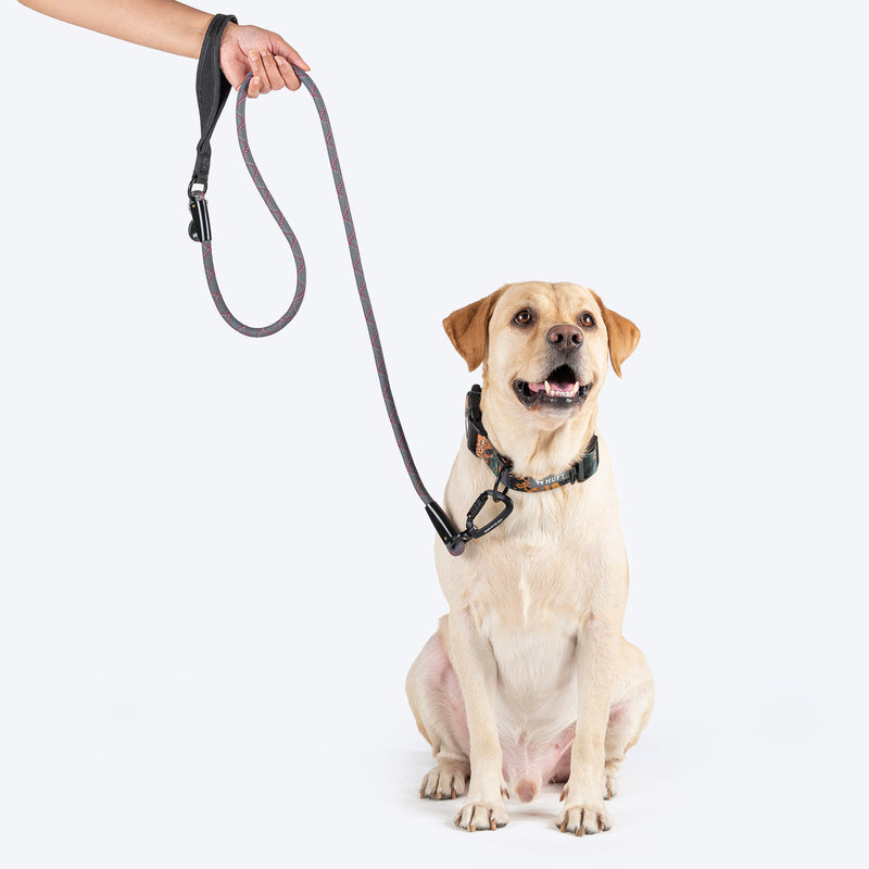 HUFT Xplorers Rope Leash With Carabiner For Dog - Grey - 5 ft - Heads Up For Tails