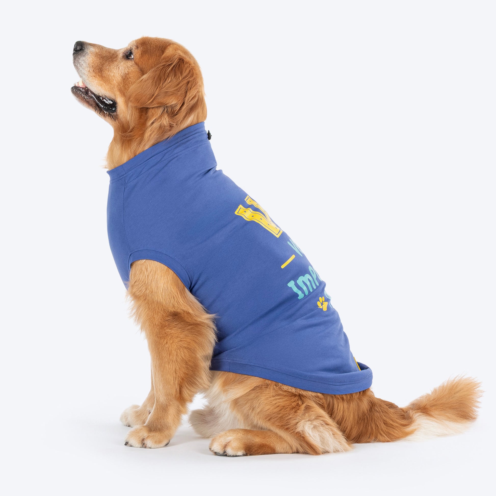 TLC Very Important Pet T-Shirt For Dog - Purple - Heads Up For Tails