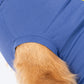 TLC Very Important Pet T-Shirt For Dog - Purple - Heads Up For Tails