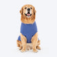 TLC Very Important Pet T-Shirt For Dog - Purple - Heads Up For Tails