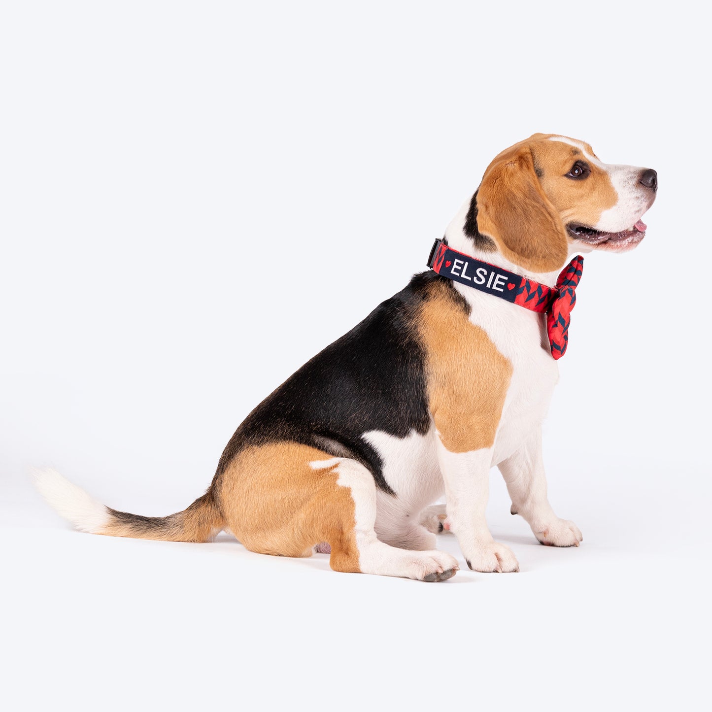 HUFT Personalised Geometric Groove Fabric Collar With Free Bow Tie For Dog - Red