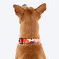 HUFT Petal Play Printed Dog Collar - Orange_03