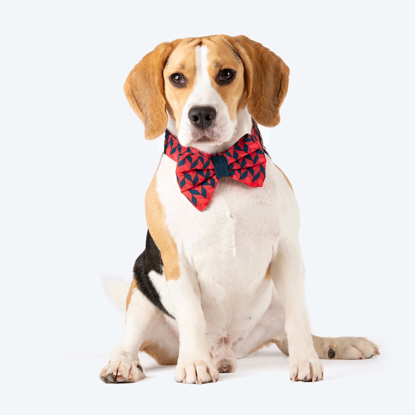 HUFT Personalised Geometric Groove Fabric Collar With Free Bow Tie For Dog - Red