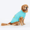 TLC The Family Favourite T-Shirt For Dog - Turquoise - Heads Up For Tails