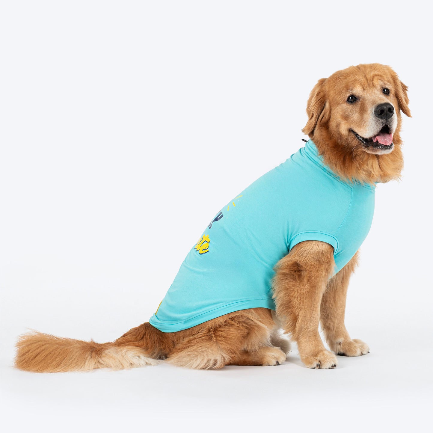 TLC The Family Favourite T-Shirt For Dog - Turquoise - Heads Up For Tails