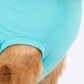 TLC The Family Favourite T-Shirt For Dog - Turquoise - Heads Up For Tails