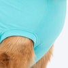 TLC The Family Favourite T-Shirt For Dog - Turquoise - Heads Up For Tails
