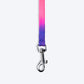 TLC Collar & Leash Set For Puppy - Multicolor