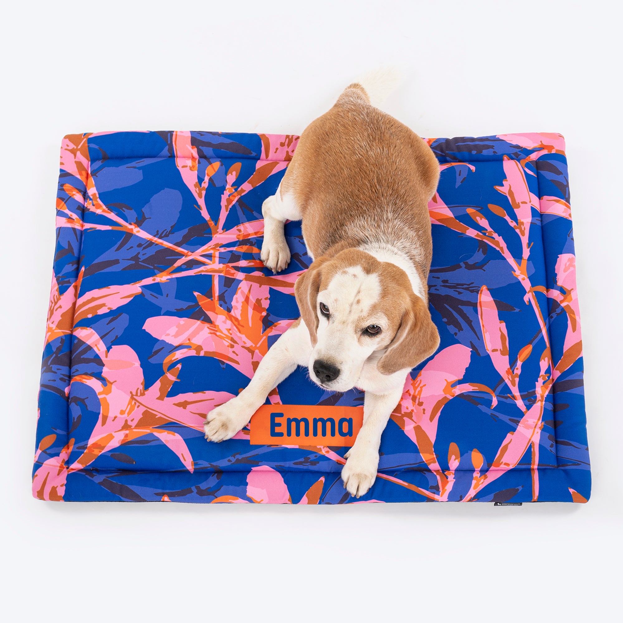 Dog best sale mat cat