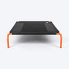 HUFT Elevated Bed For Dog - Black & Orange - Heads Up For Tails