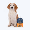 HUFT Sara's Chicken Blend Bone Broth For Dogs - 150 ml - Heads Up For Tails