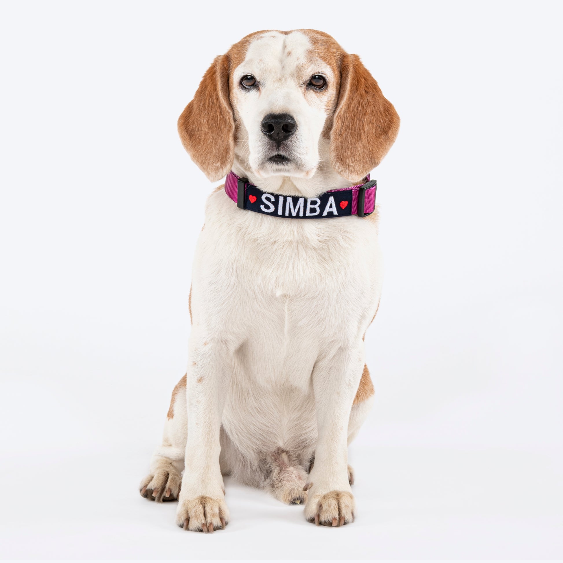 HUFT Personalised Classic Dog Collar - Purple_02