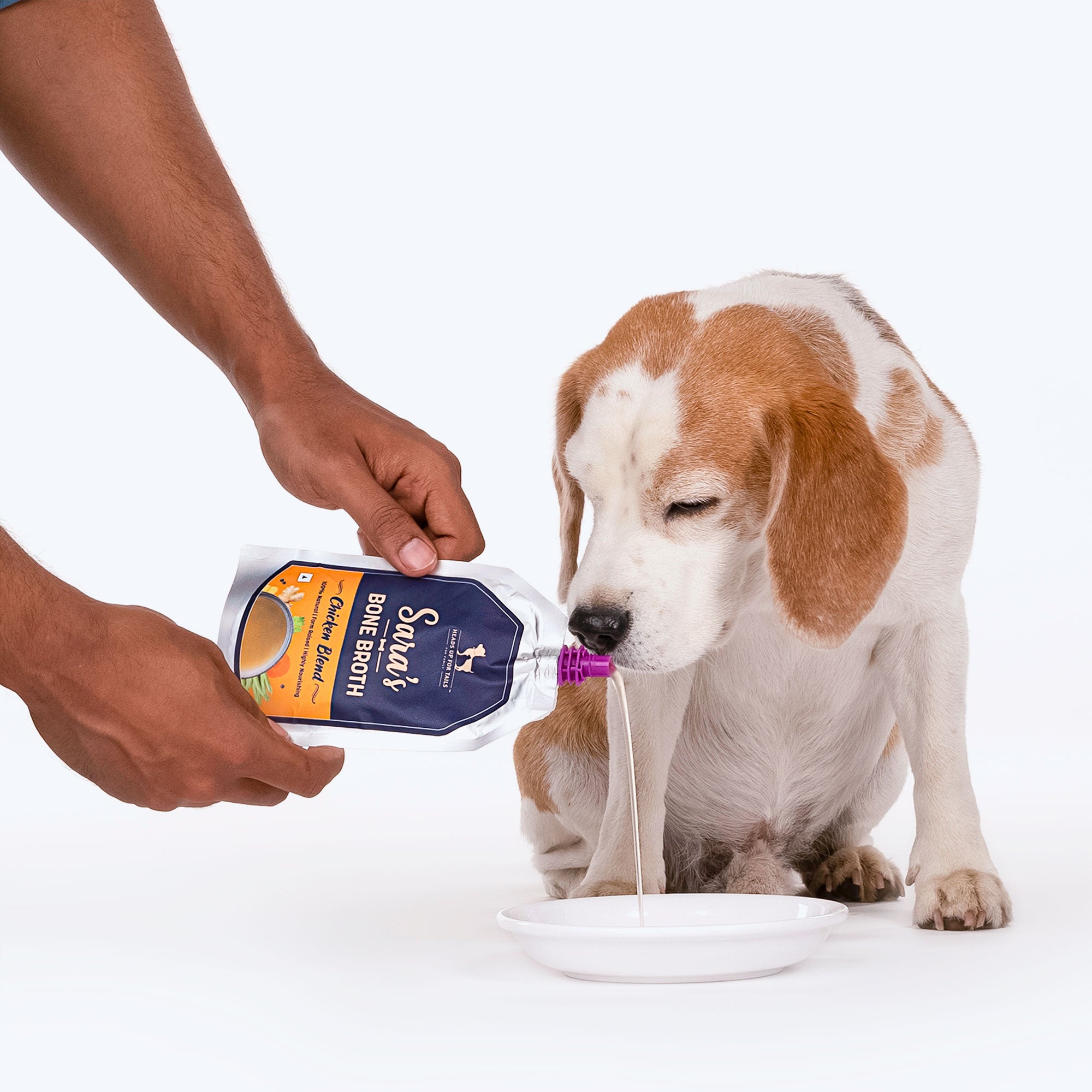 Bone broth 2024 for puppies