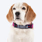 HUFT Personalised Classic Dog Collar - Purple_05