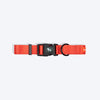 HUFT Classic Collar For Dog - Rust Orange - Heads Up For Tails