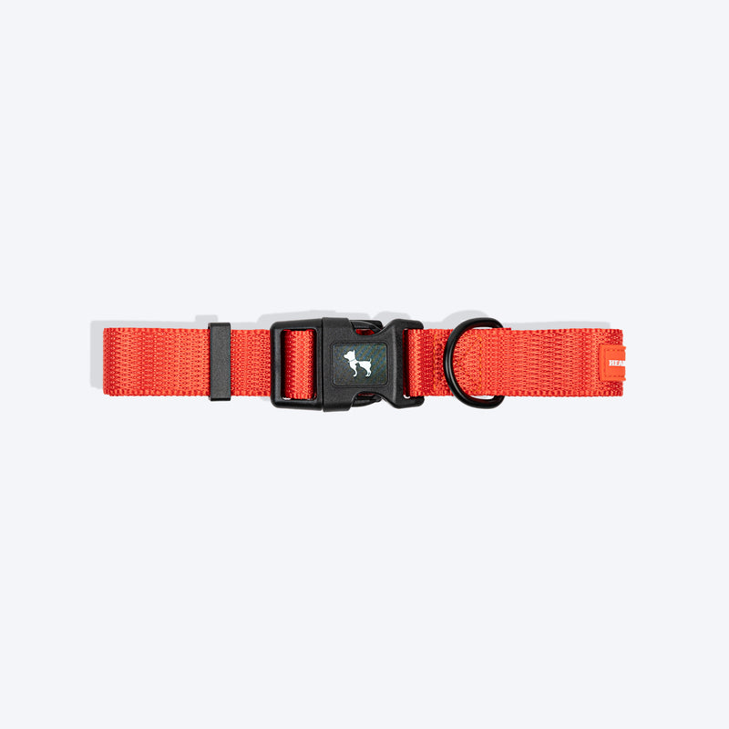 HUFT Classic Collar For Dog - Rust Orange - Heads Up For Tails