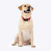 HUFT Classic Collar For Dog - Cherry Red - Heads Up For Tails
