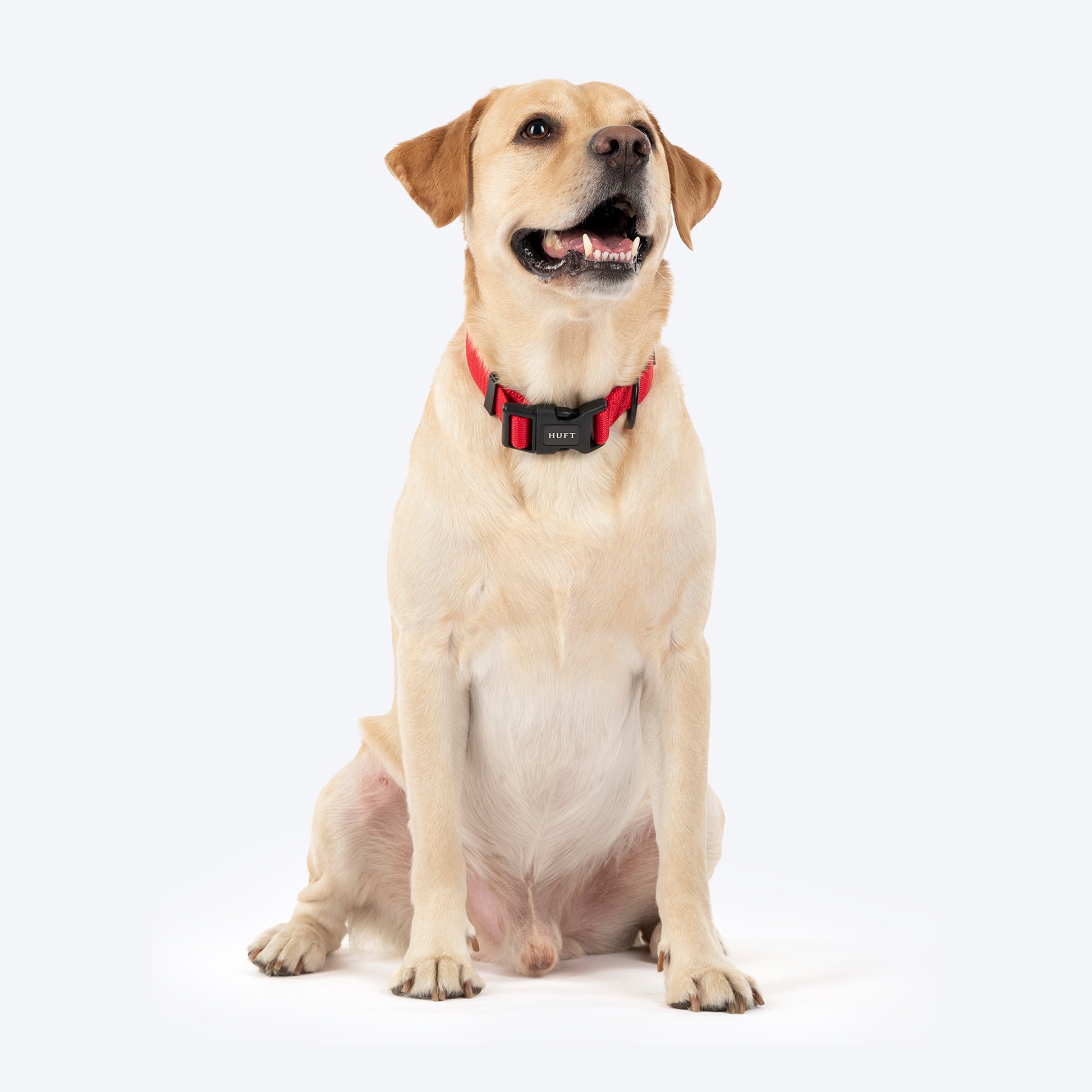 HUFT Classic Collar For Dog - Cherry Red - Heads Up For Tails