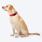HUFT Classic Collar For Dog - Cherry Red - Heads Up For Tails
