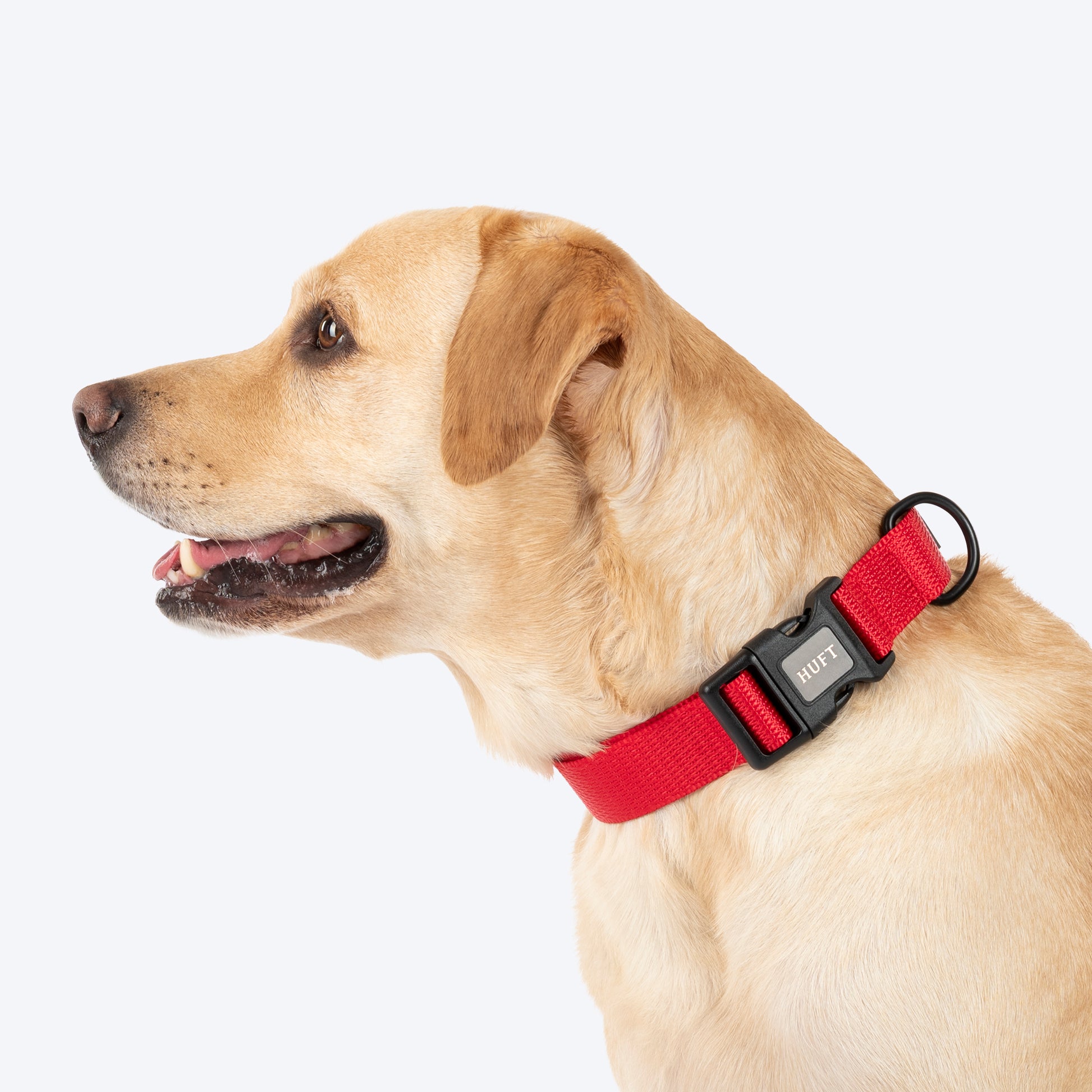 HUFT Classic Collar For Dog - Cherry Red - Heads Up For Tails