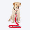 HUFT Classic Leash For Dog - Cherry Red - Heads Up For Tails