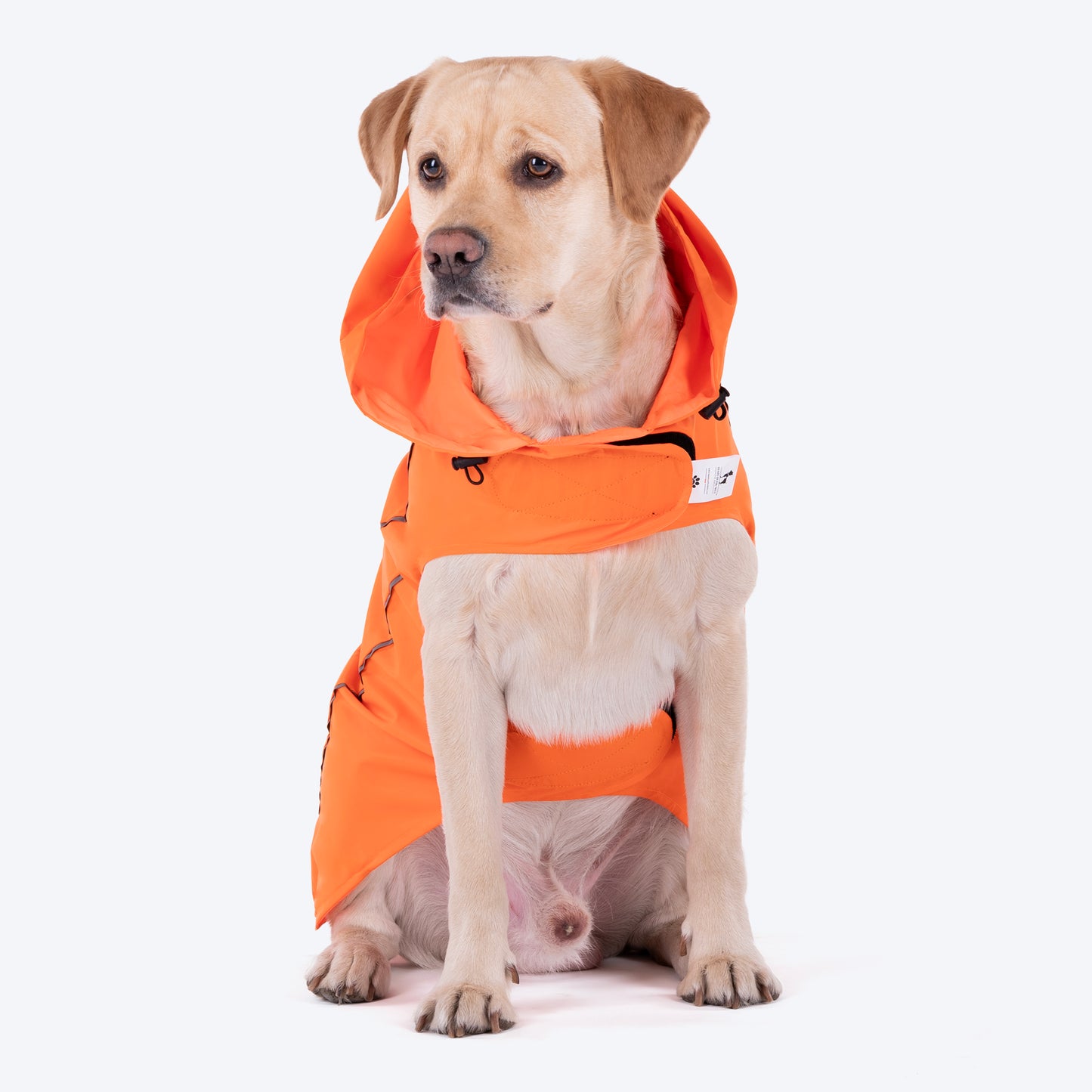 HUFT Rain Dancers Raincoats for Dog - Orange - Heads Up For Tails