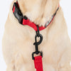 HUFT Classic Personalised (Mobile No.) Dog Leash - Cherry Red - Heads Up For Tails