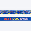 HUFT Scribble Dribble Leash For Dog – Blue - Heads Up For Tails