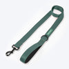 HUFT Classic Leash For Dog - Green - Heads Up For Tails