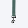 HUFT Classic Leash For Dog - Green - Heads Up For Tails