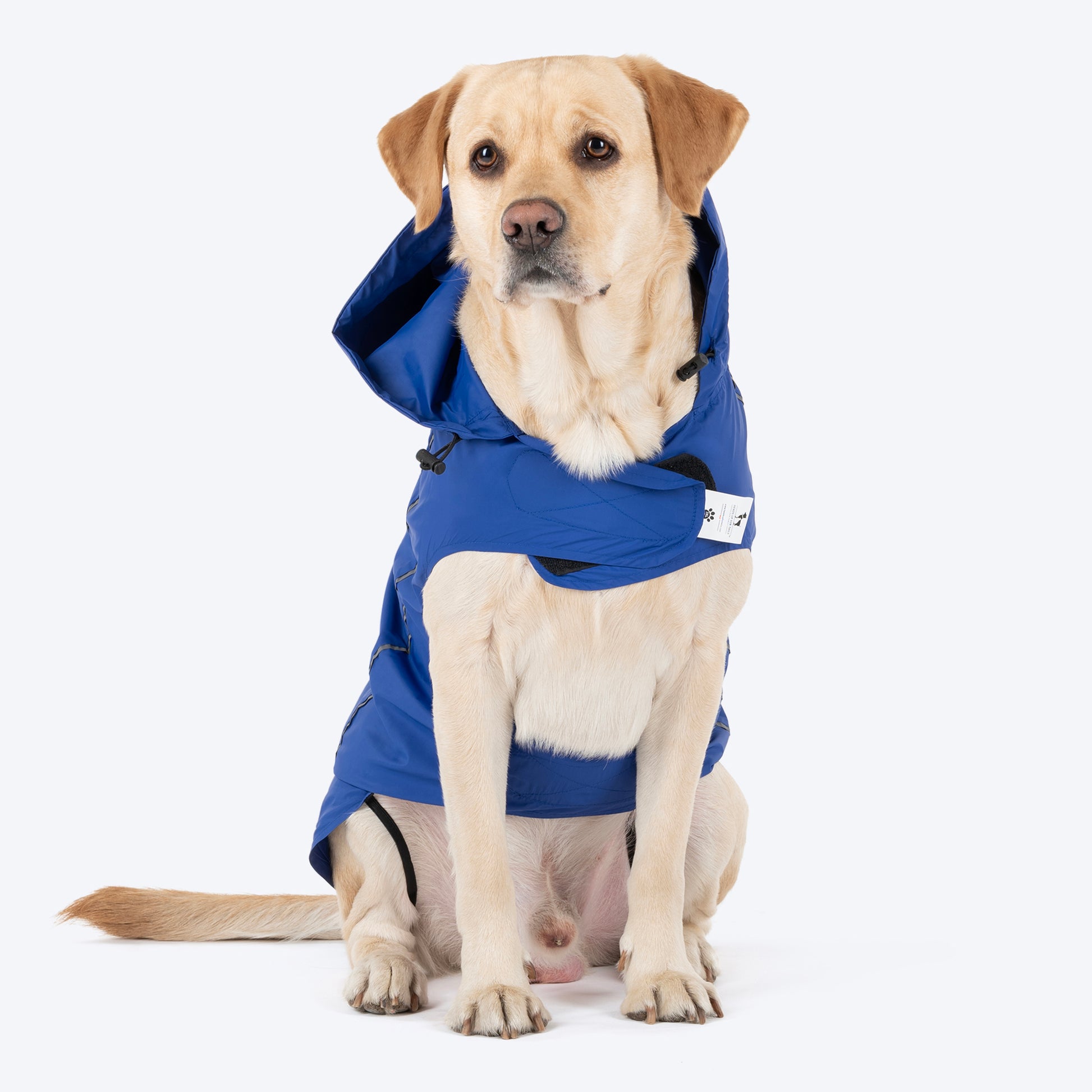 HUFT Rain Dancers Raincoats for Pets - Blue - Heads Up For Tails