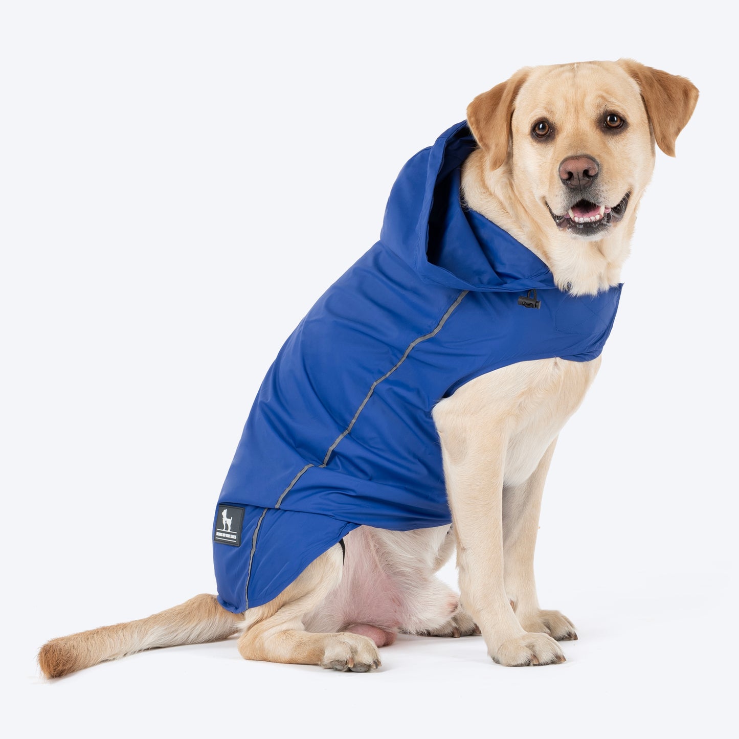 HUFT Rain Dancers Raincoats for Pets - Blue - Heads Up For Tails