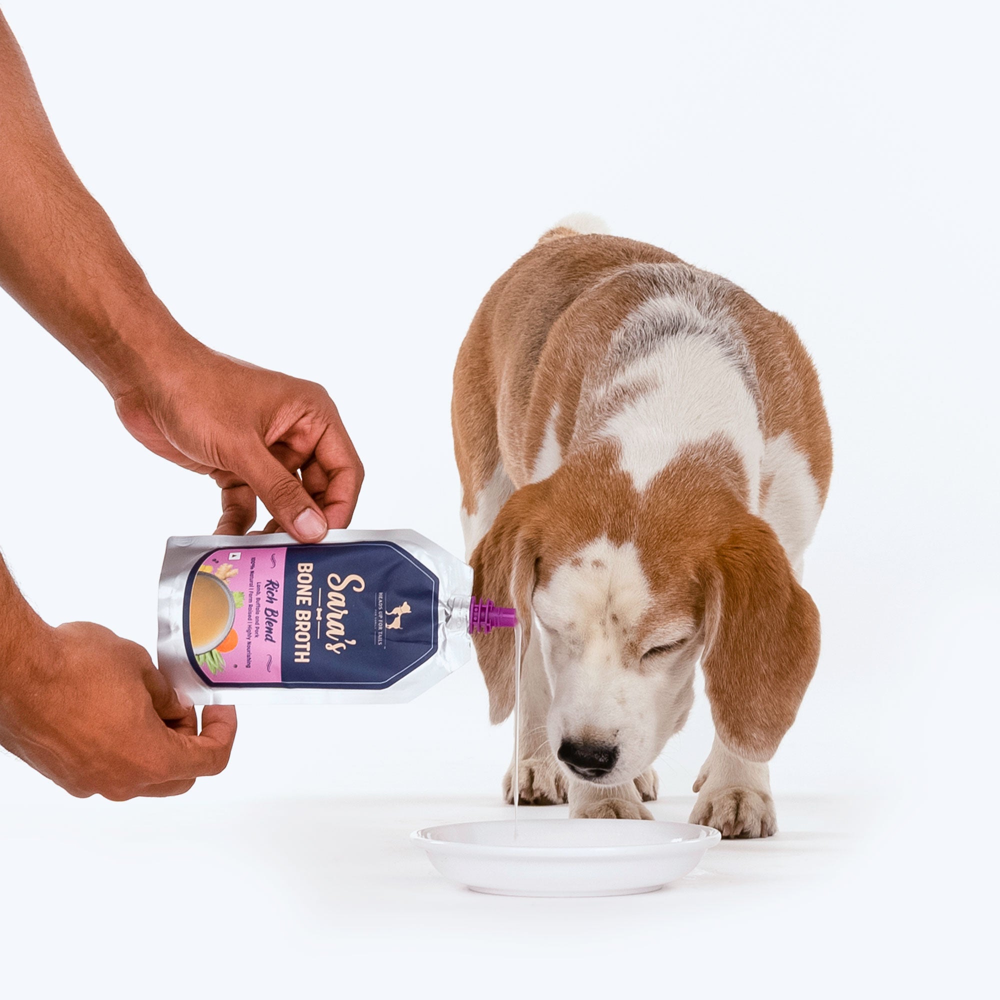 Pork bone outlet broth for dogs