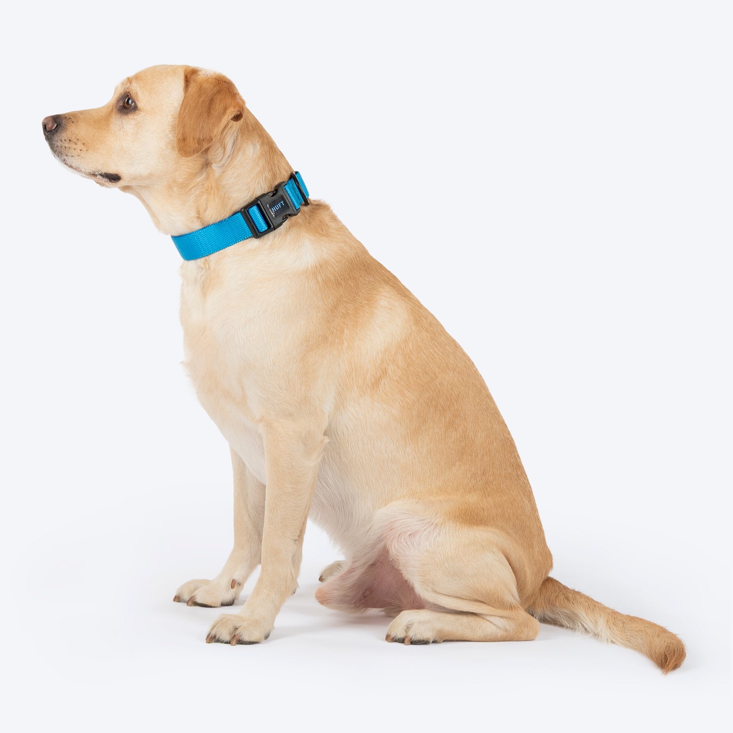 HUFT Classic Collar For Dog - Ocean Blue