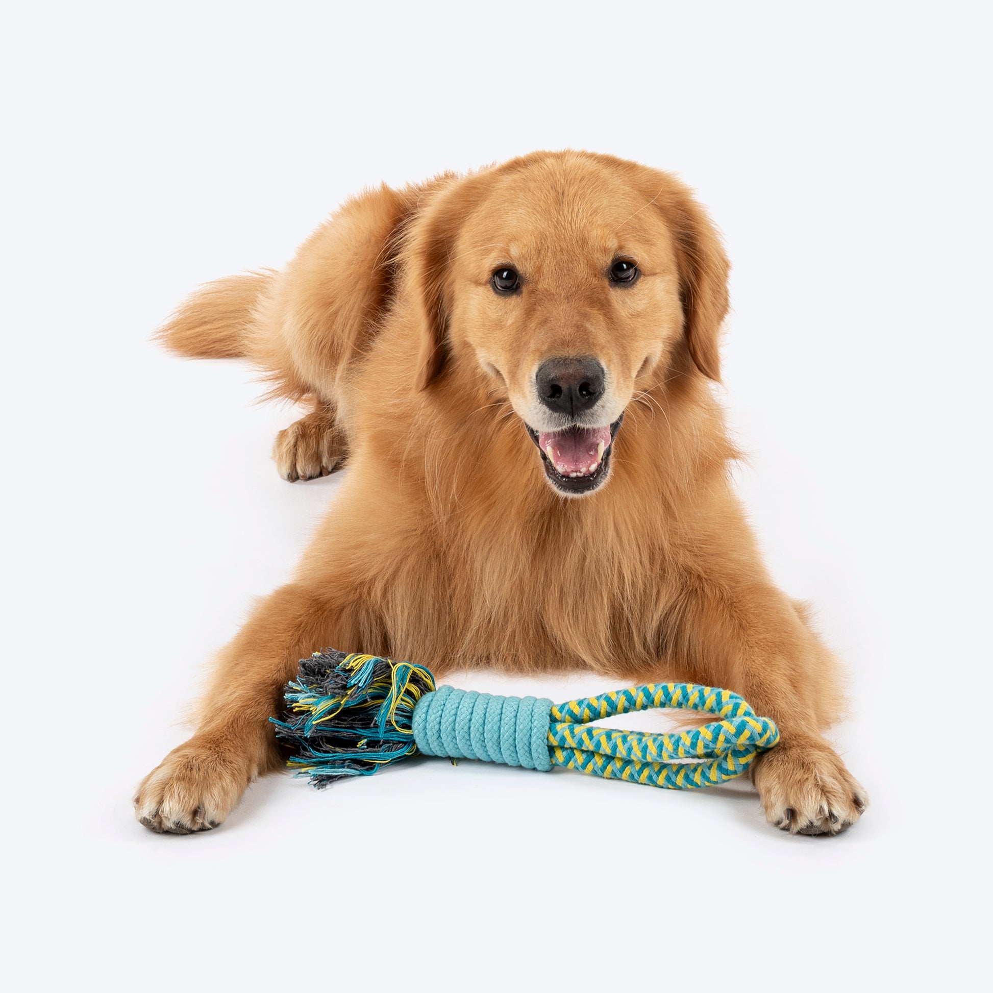 Dash Dog Toss 'n Twirl Rope Toy For Dog - Blue & Yellow - Heads Up For Tails