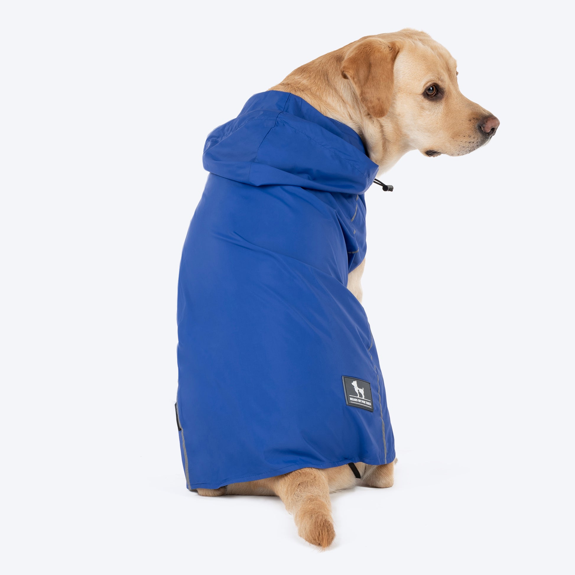 HUFT Rain Dancers Raincoats for Pets - Blue - Heads Up For Tails