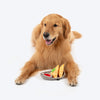 HUFT Samosa Pawrty Crinkly Dog Toy - Multicolor - Heads Up For Tails