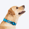 HUFT Classic Collar For Dog - Ocean Blue - Heads Up For Tails