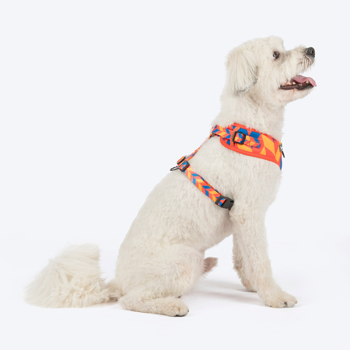 HUFT Dynamic Chevron Adjustable Harness For Dog - Red & Yellow - Heads Up For Tails
