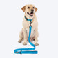 HUFT Classic Leash For Dog - Ocean Blue - Heads Up For Tails