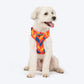 HUFT Dynamic Chevron Adjustable Harness For Dog - Red & Yellow