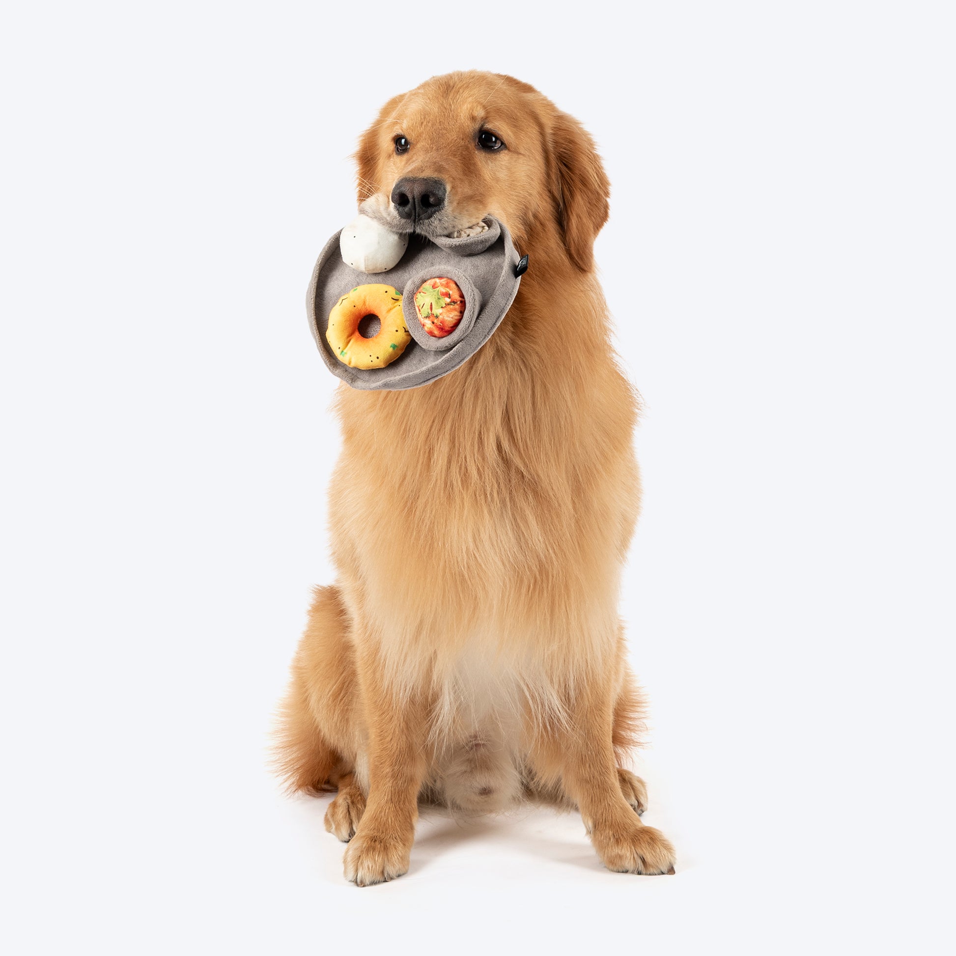 HUFT Furever Bandhan Combo - Pet Rakhi, Food Toy, Goat Milk Cookies - Heads Up For Tails
