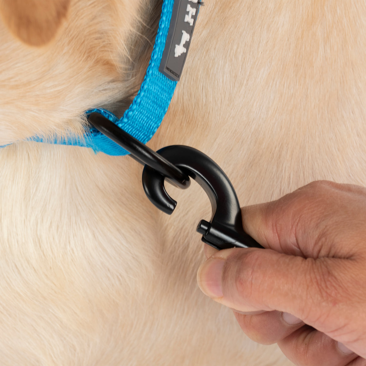HUFT Classic Collar For Dog - Ocean Blue - Heads Up For Tails