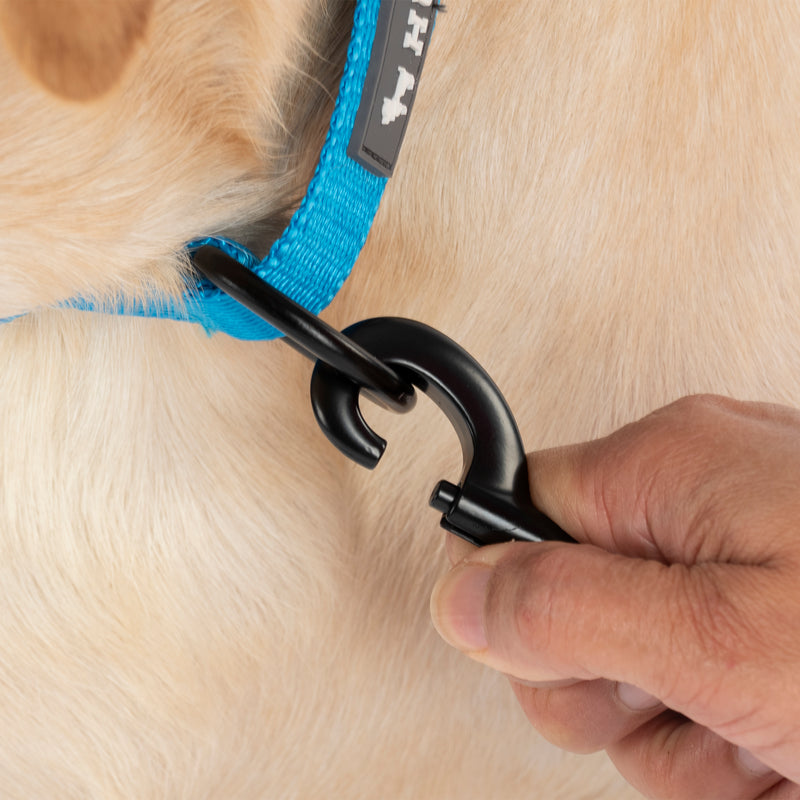 HUFT Classic Collar For Dog - Ocean Blue - Heads Up For Tails