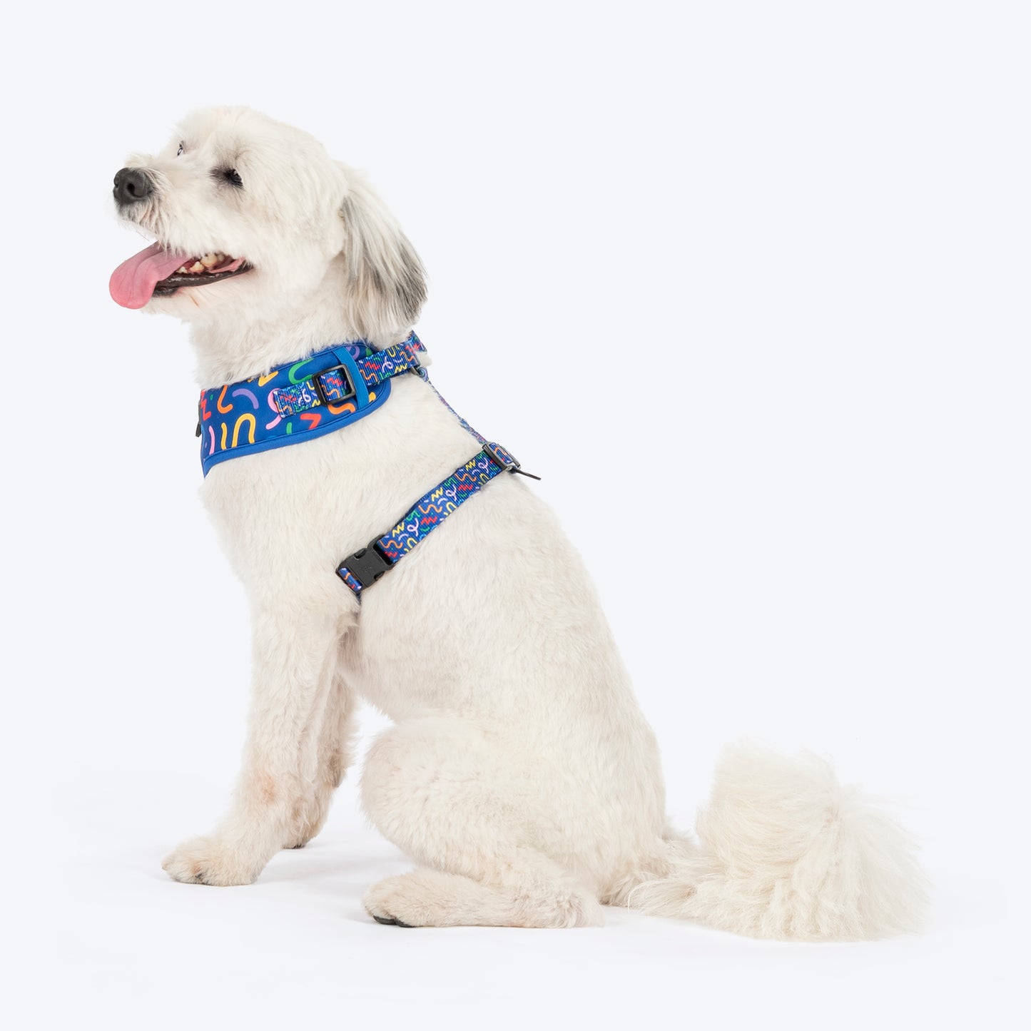 HUFT Scribble Dribble Adjustable Harness For Dog - Blue