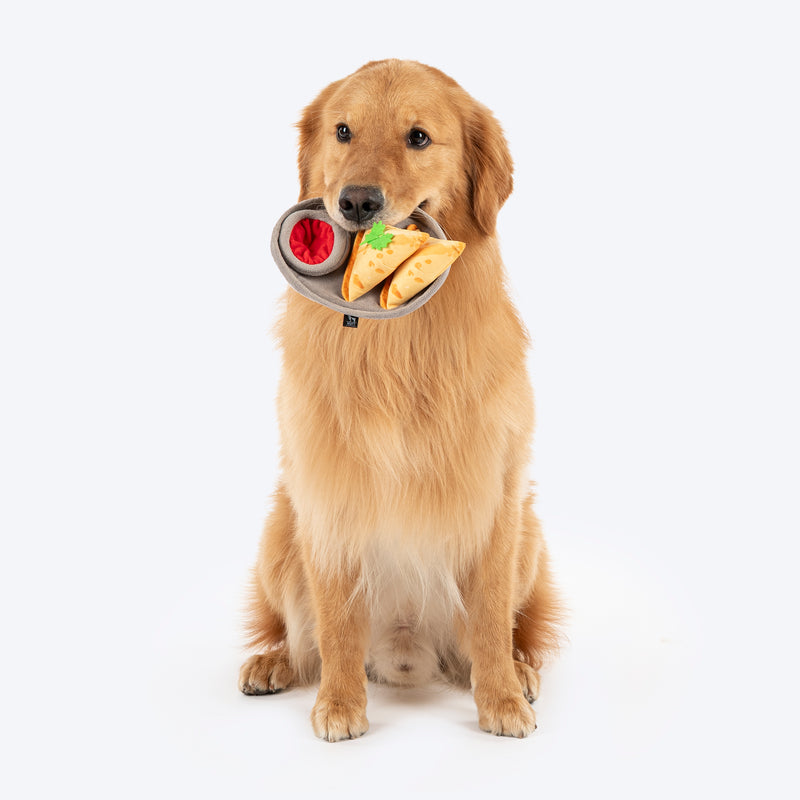 HUFT Sibling Suraksha Set - Pet Rakhi, Samosa Toy, Goat Milk Cookies - Heads Up For Tails